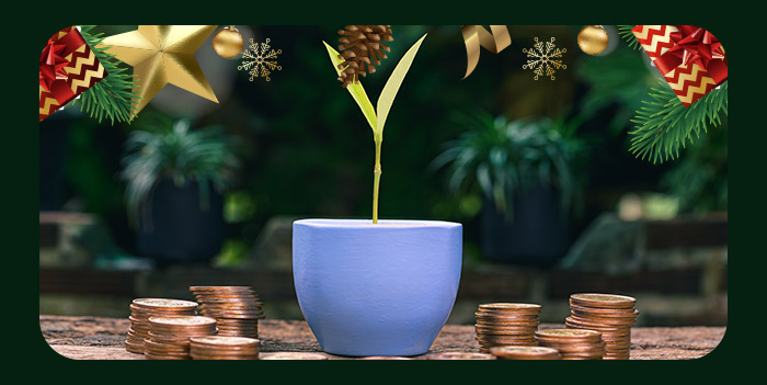 6 Ways a Loan can Help Your Business Grow in the New Year